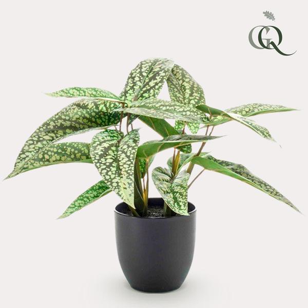 Kunstplant - Calathea Dots - Schaduwplant - 38 cm  BotanicBridge