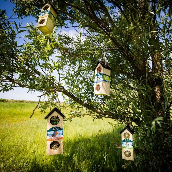 Bird-Buffet | Chalet feeder vogelhuisje | 500 gram - Roodborstjes  BotanicBridge