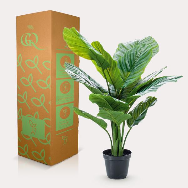 Kunstplant - Calathea Orbifolia - Schaduwplant - 60 cm  BotanicBridge