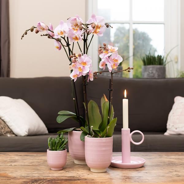 Kolibri Home | Glazed bloempot - Roze keramieken sierpot met glans - Ø9cm  BotanicBridge