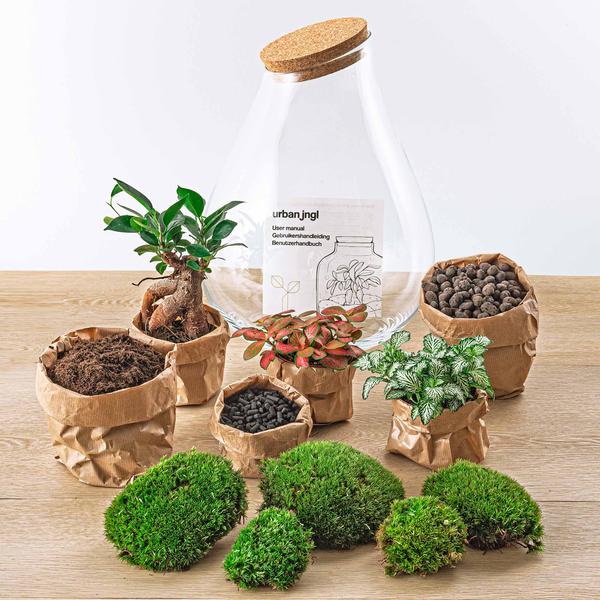 DIY terrarium - Drop XL Bonsai -↕ 37 cm - Rake + Shovel  BotanicBridge