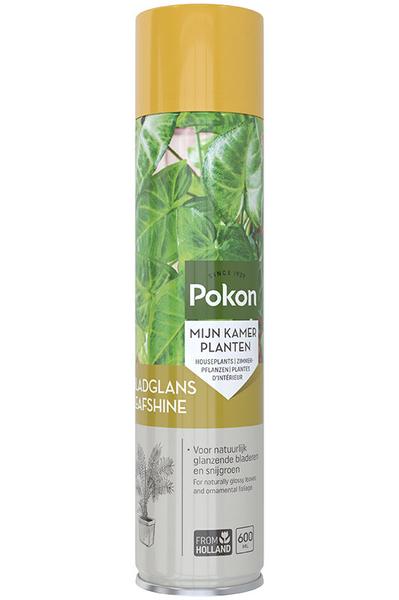 Pokon Bladglans 600 ml  BotanicBridge