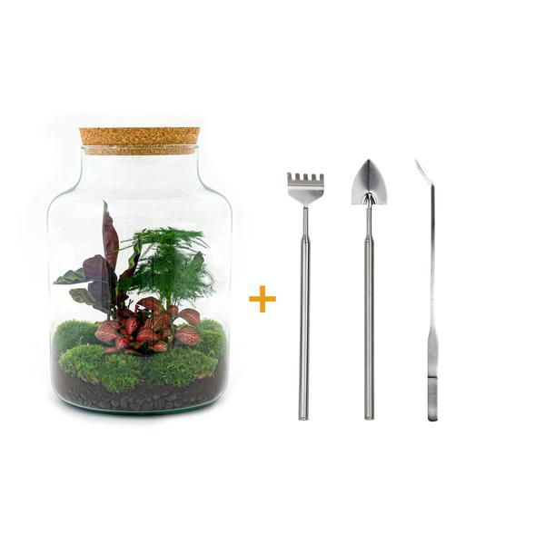 DIY terrarium - Milky - ↕ 30 cm - Rake + Shovel + Tweezer  BotanicBridge