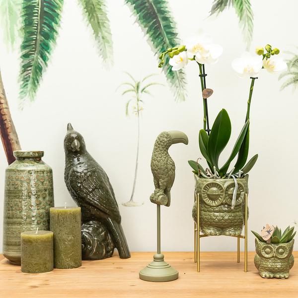 Kolibri Home | Ornament - Decoratie beeld Toucan - Green  BotanicBridge