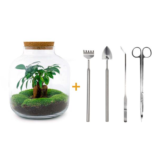 DIY terrarium - Billie Bonsai - ↕ 29 cm - Rake + Shovel + Tweezer + Scissors  BotanicBridge