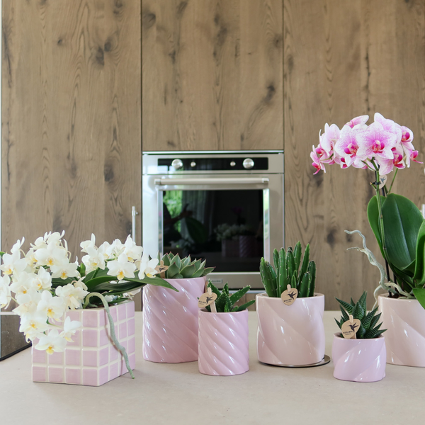 Kolibri Home | Mosa sierpot - Pink - Ø9cm  BotanicBridge