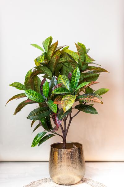 Kunstplant - Croton Codiaeum - Wonderstruik - 120 cm  BotanicBridge