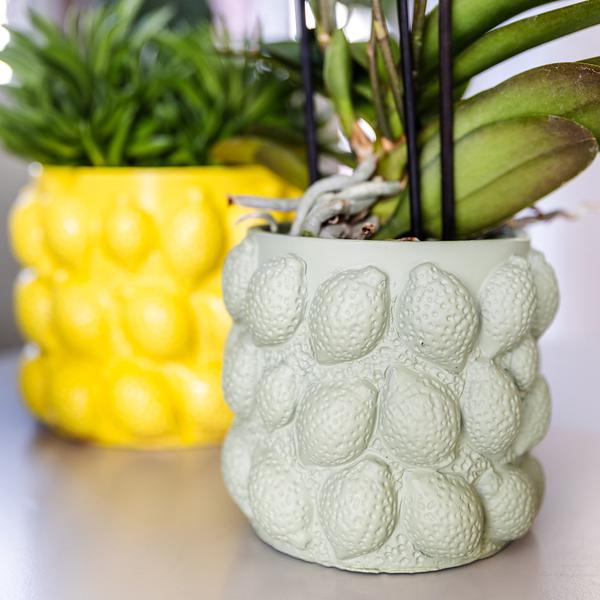 Kolibri Home | Citrus pot groen - Ø9cm  BotanicBridge