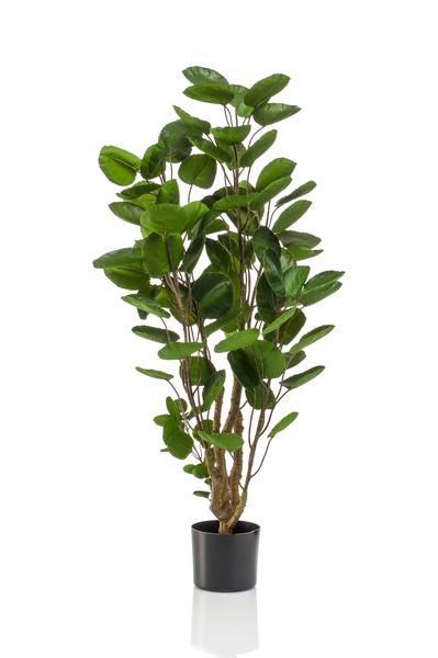 Kunstplant - Polyscias - Aralia - 105 cm  BotanicBridge