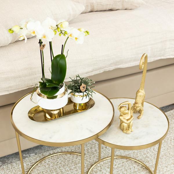 Kolibri Home | Ornament - Decoratie beeld Monkey long tail - Gold  BotanicBridge